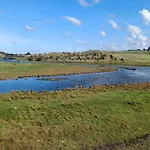 3 Person In Ærøskøbing
