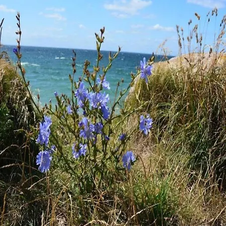 3 Person In Nyaraló *