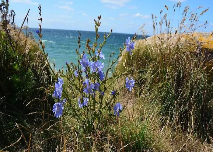 3 Person In Holiday home *